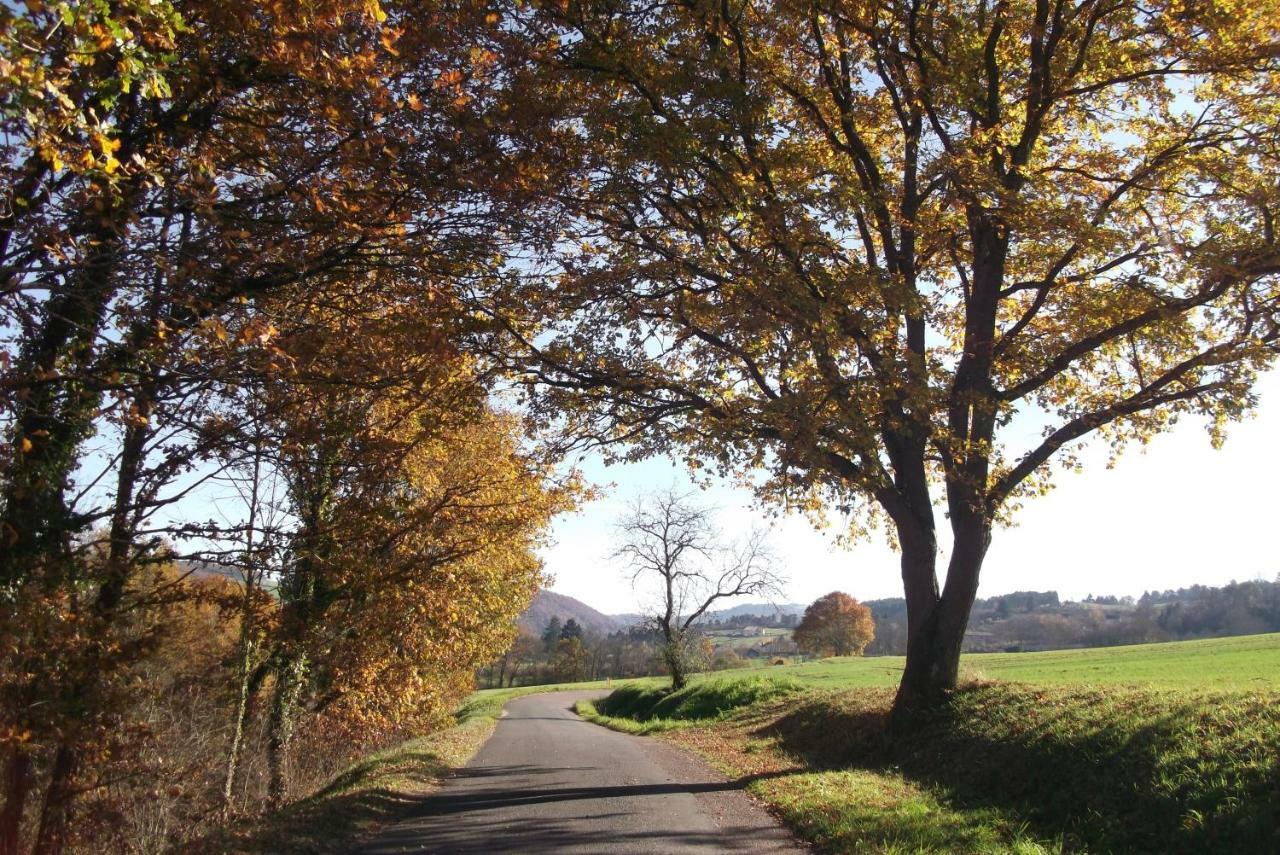 Hote Du Couzan Sail-sous-Couzan Kültér fotó